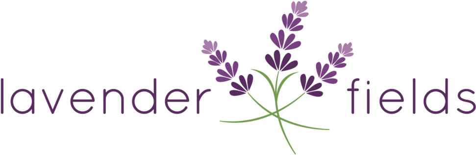 Lavender Fields - Ashburn (1000x337), Png Download