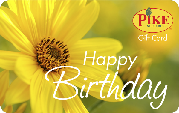 Birthday Gift Card - Birthday (600x600), Png Download