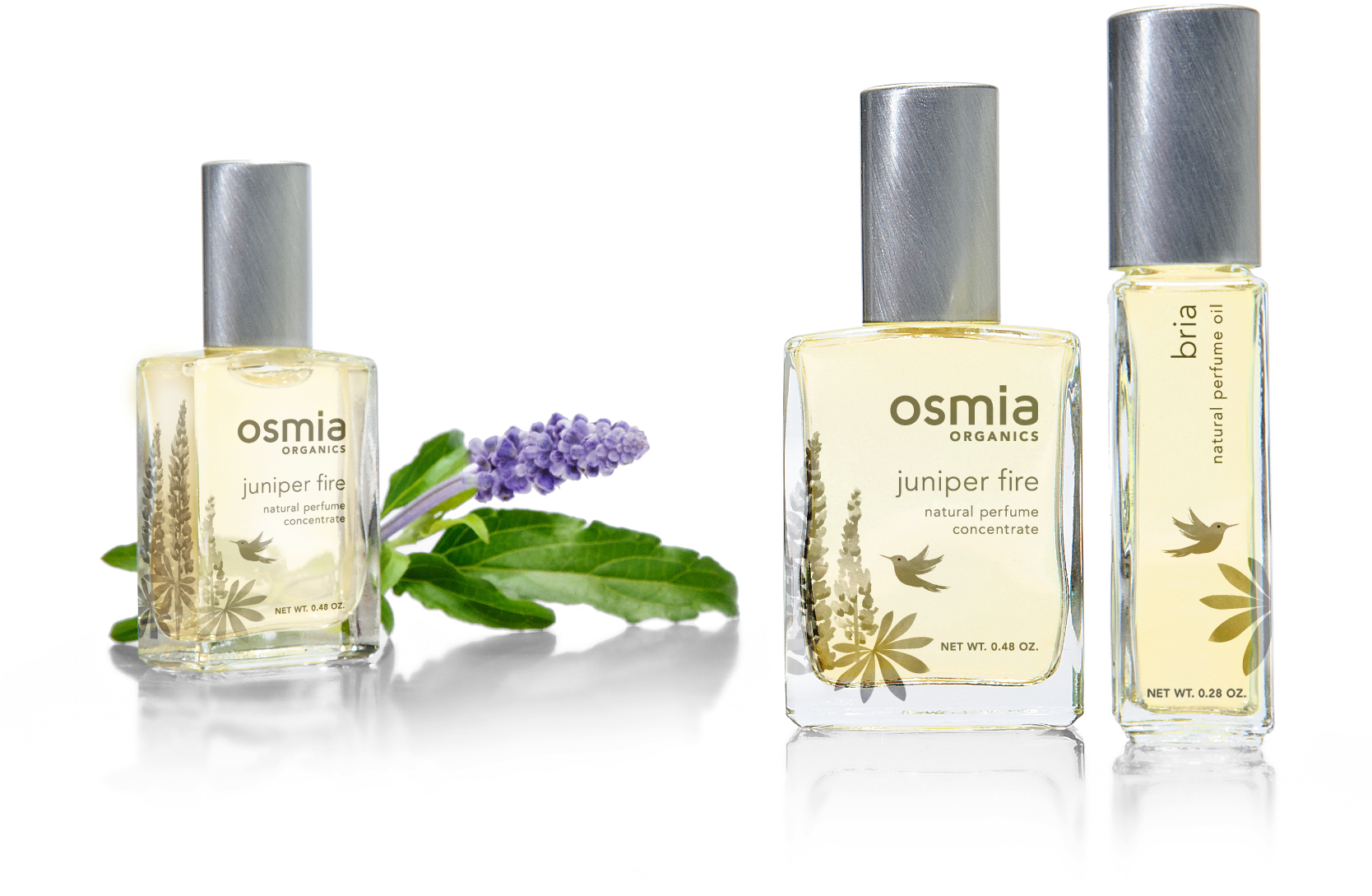Osmia Organics Perfume - Perfume (1667x1173), Png Download