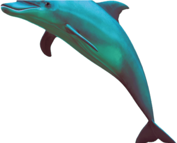 Vaporwave Dolphin Png (640x480), Png Download