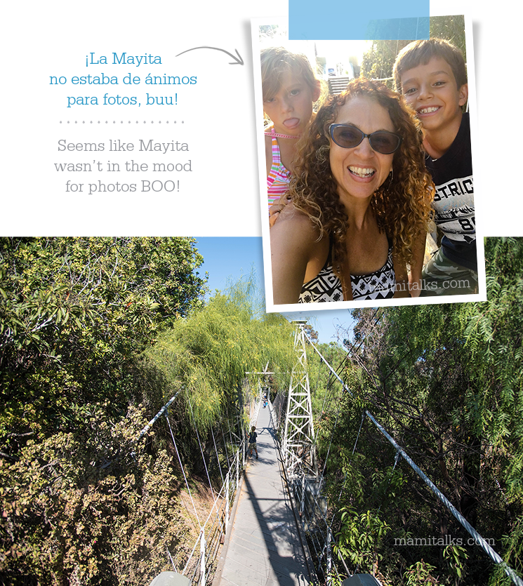 Adventure At Bruce St - Tree (745x835), Png Download