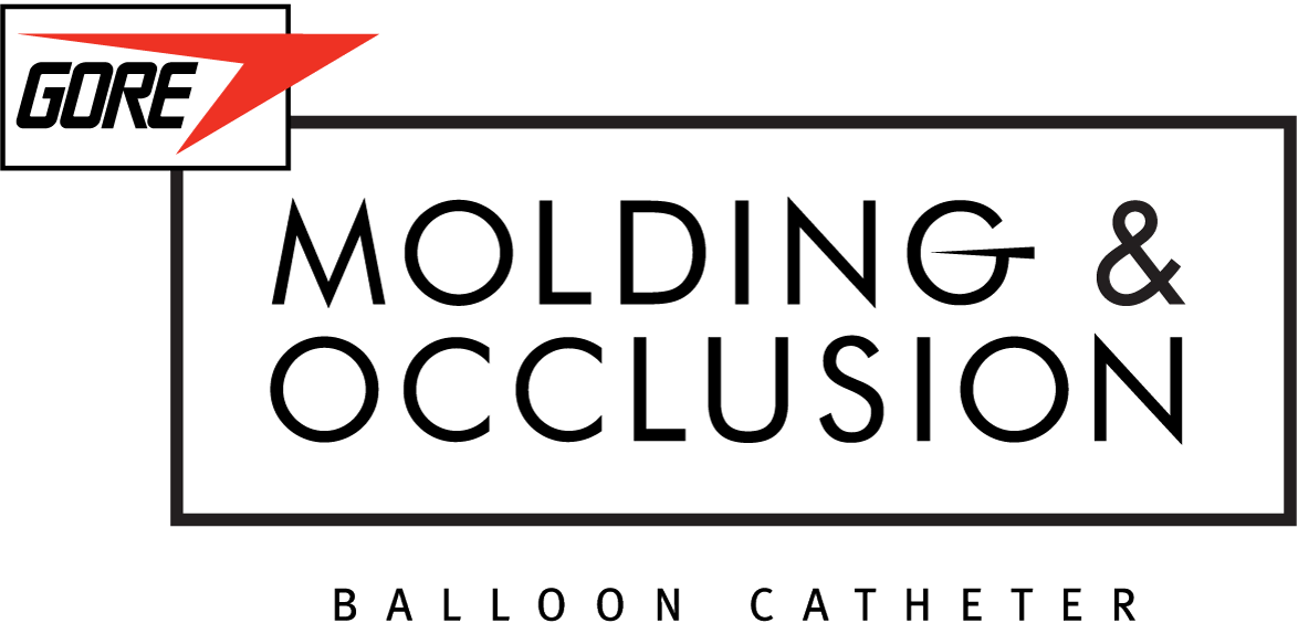 Gore® Molding & Occlusion Balloon - Calligraphy (1174x564), Png Download