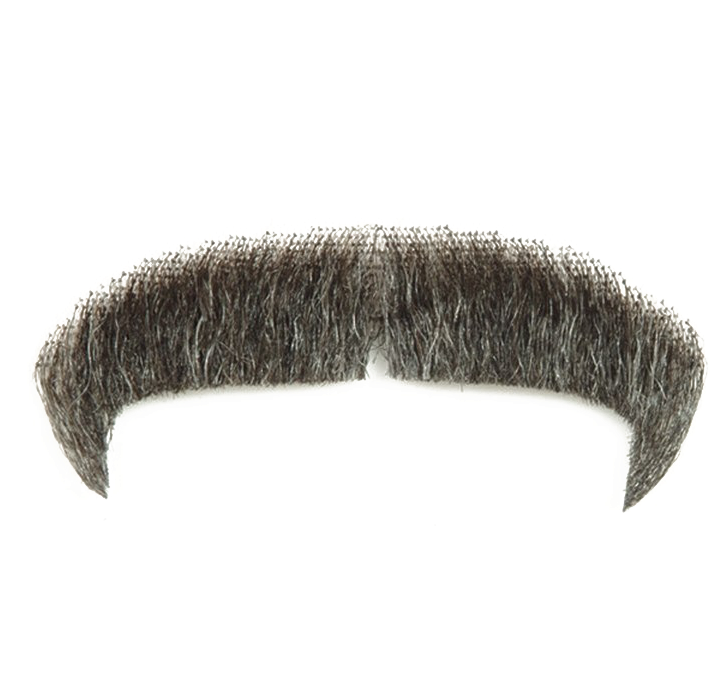 Moustache Png Image Transparent - Real Mustache Png Transparent (720x720), Png Download
