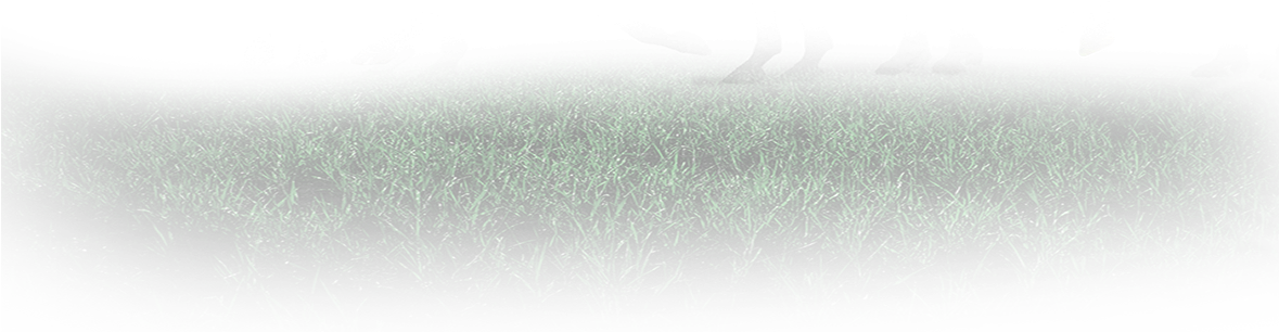 Kadabra - Grass (1178x314), Png Download