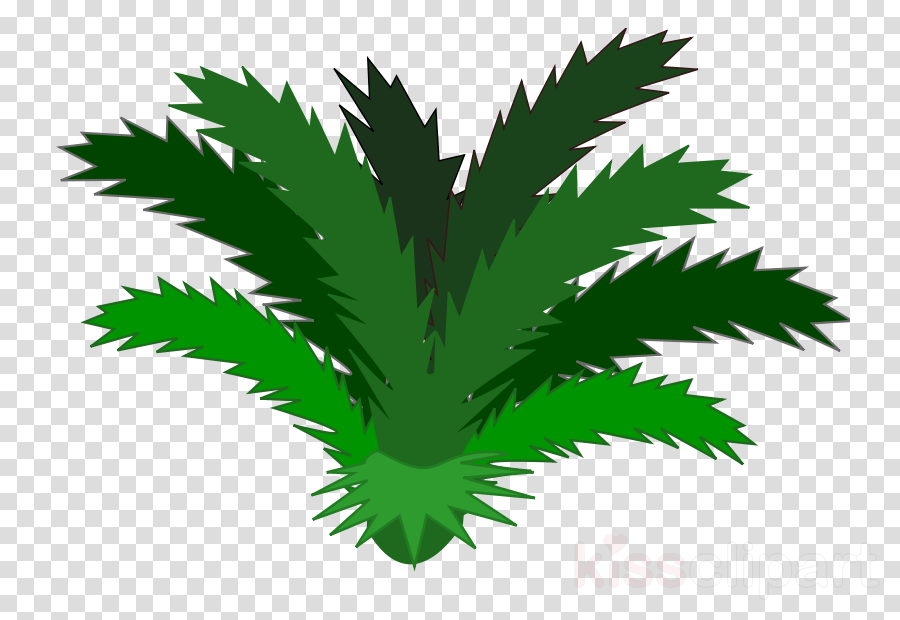 Jungle Plants Clipart Tropical Rainforest Clip Art - Rainforest Plants Clip Art (900x620), Png Download