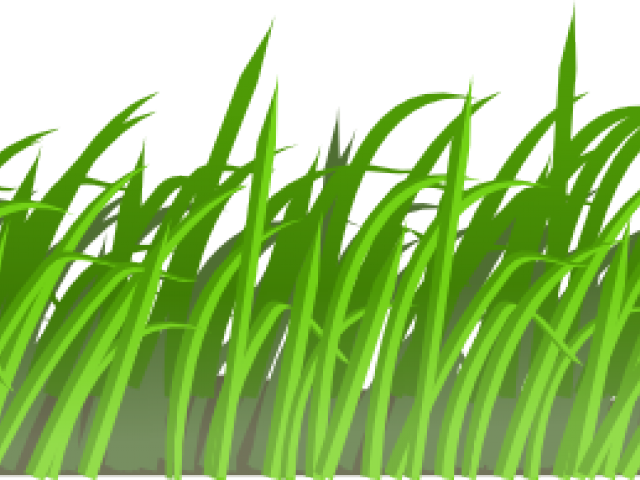 Sea Grass Clipart Jungle Grass - Transparent Cartoon Grass (640x480), Png Download