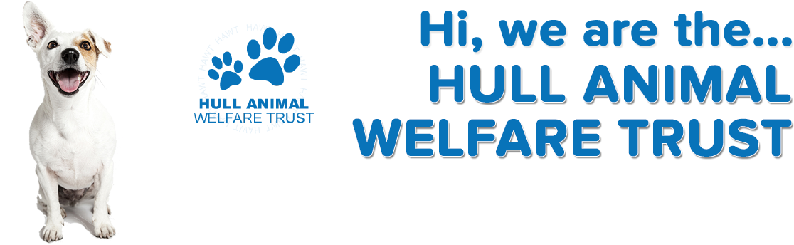 Neutering Dogs, Cats And Small Animals - Aspectek Bark Control Bark Stop Classic Hr1331 (1144x358), Png Download