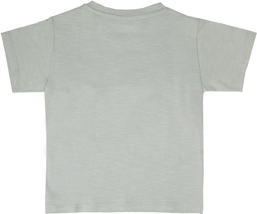 Lion Of Leisure Baby T-shirt Lion Cub - T-shirt (960x720), Png Download