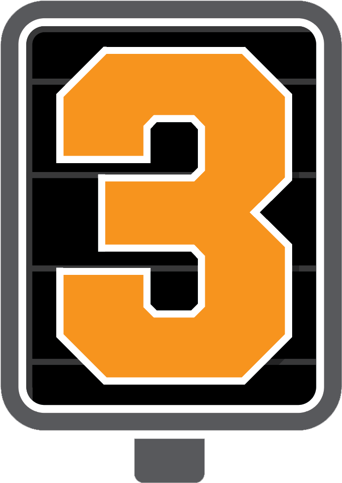 Lion Cub Cam - 3rd Down Sign (860x1076), Png Download