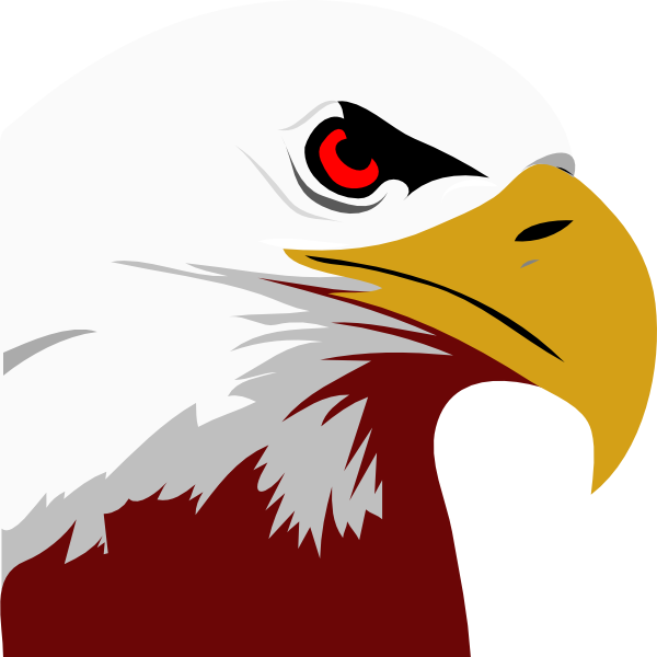 Red White Eagle Clip Art - Bald Eagle Black And White Clipart (600x600), Png Download