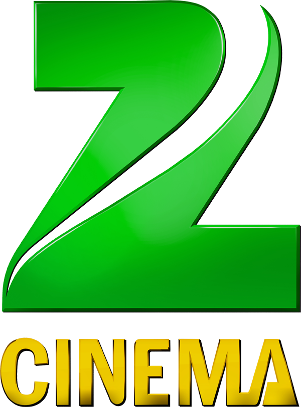 Zee Cinema 2011 - Zee Cinema Channel Logo (600x813), Png Download