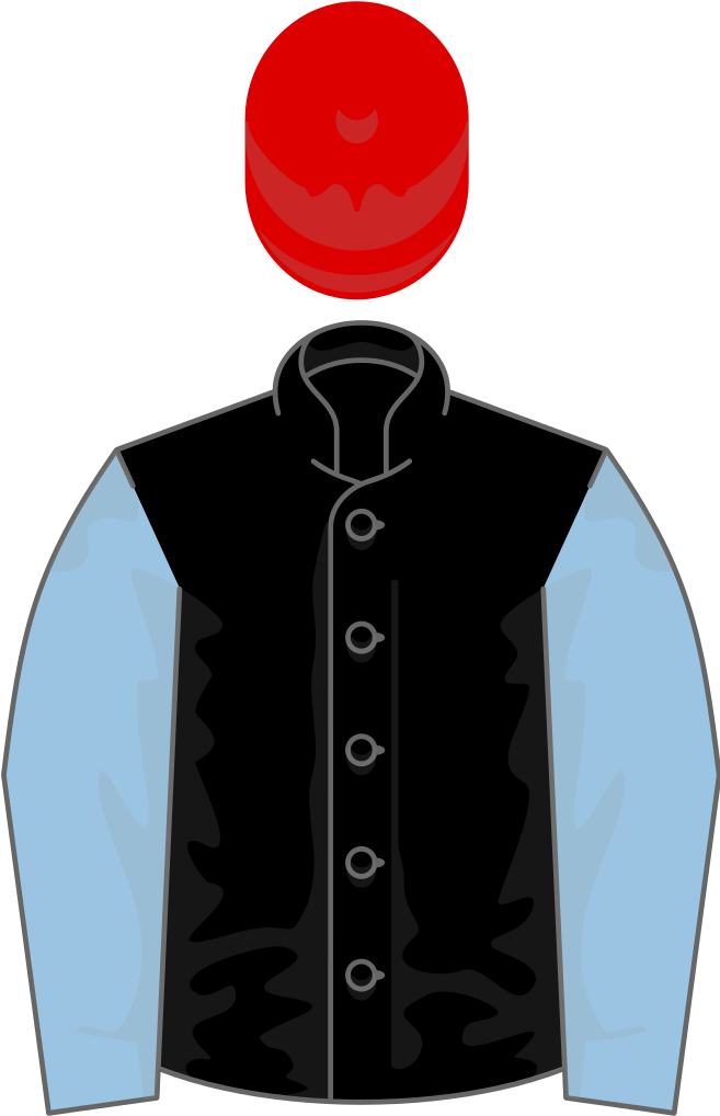 Owner Red Barn Syndicate - Scalable Vector Graphics (656x1024), Png Download