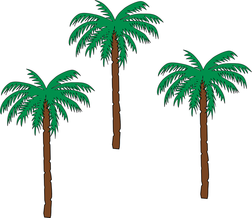 Palm Tree Png 22, Buy Clip Art - Small Palm Tree Clipart (832x720), Png Download