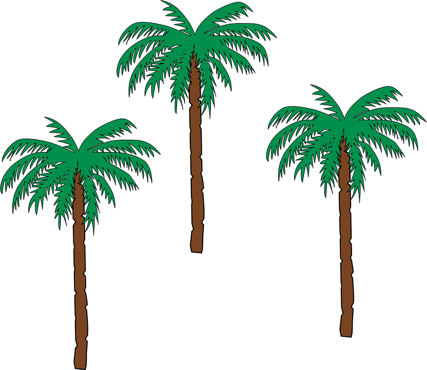 Palm Tree Png 22, Buy Clip Art - Small Palm Tree Clipart - Free