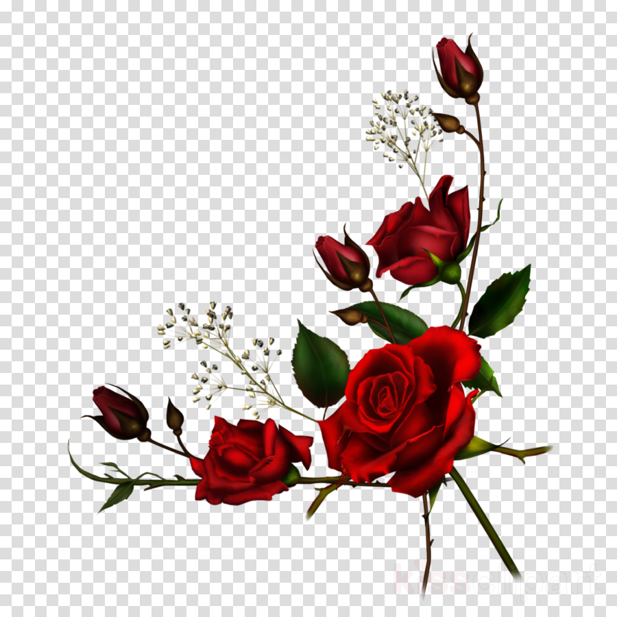 Download Download Roses Png Clipart Rose Clip Art Rose Flower - Red Roses  Corner Border PNG Image with No Background 