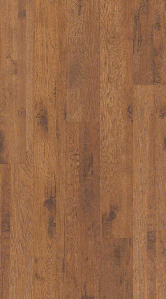 Shaw Tacoma Hickory St Johns Hickory - Plywood (1024x1024), Png Download