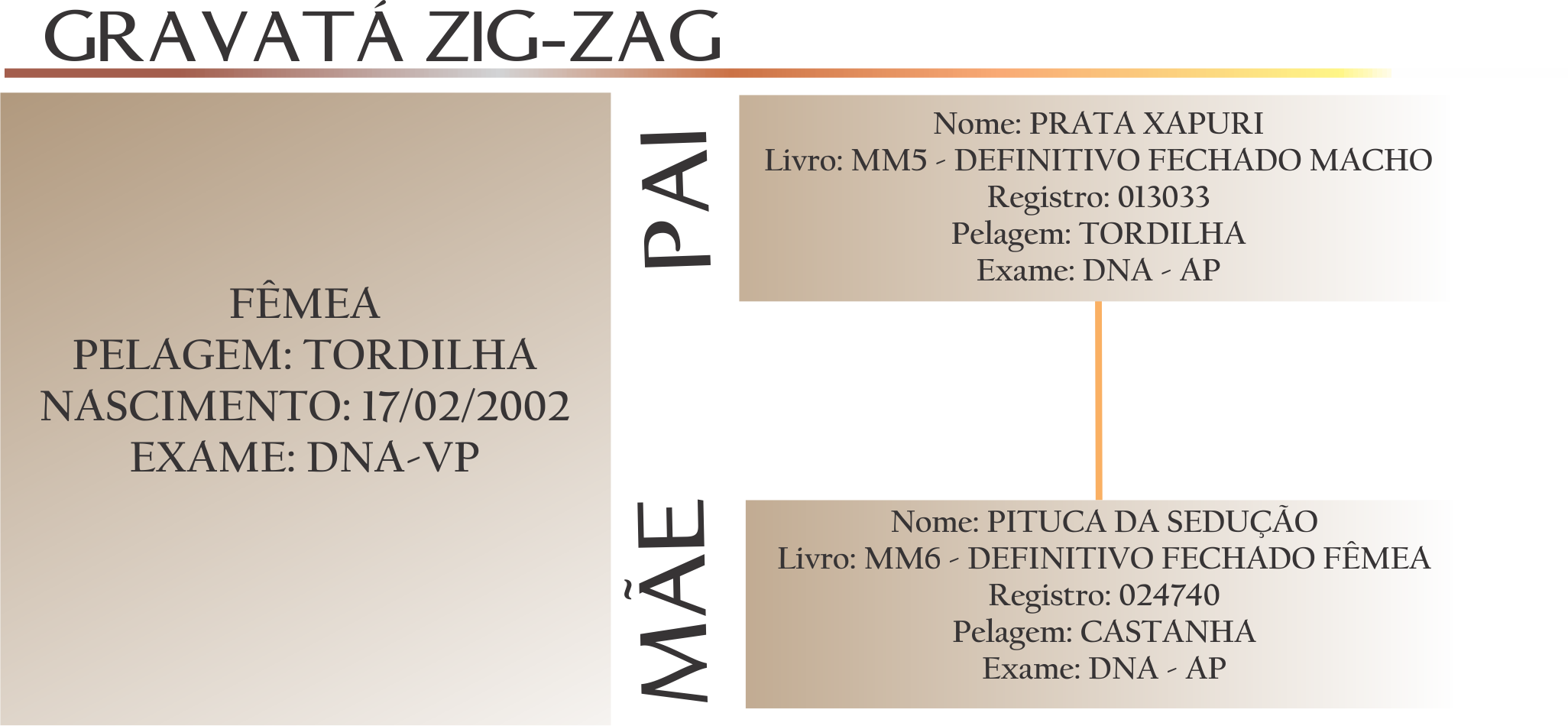 Compartilhar - Mangalarga Marchador (2052x950), Png Download