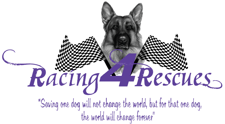 Rikko, German Shepherd Tile Coaster (778x426), Png Download