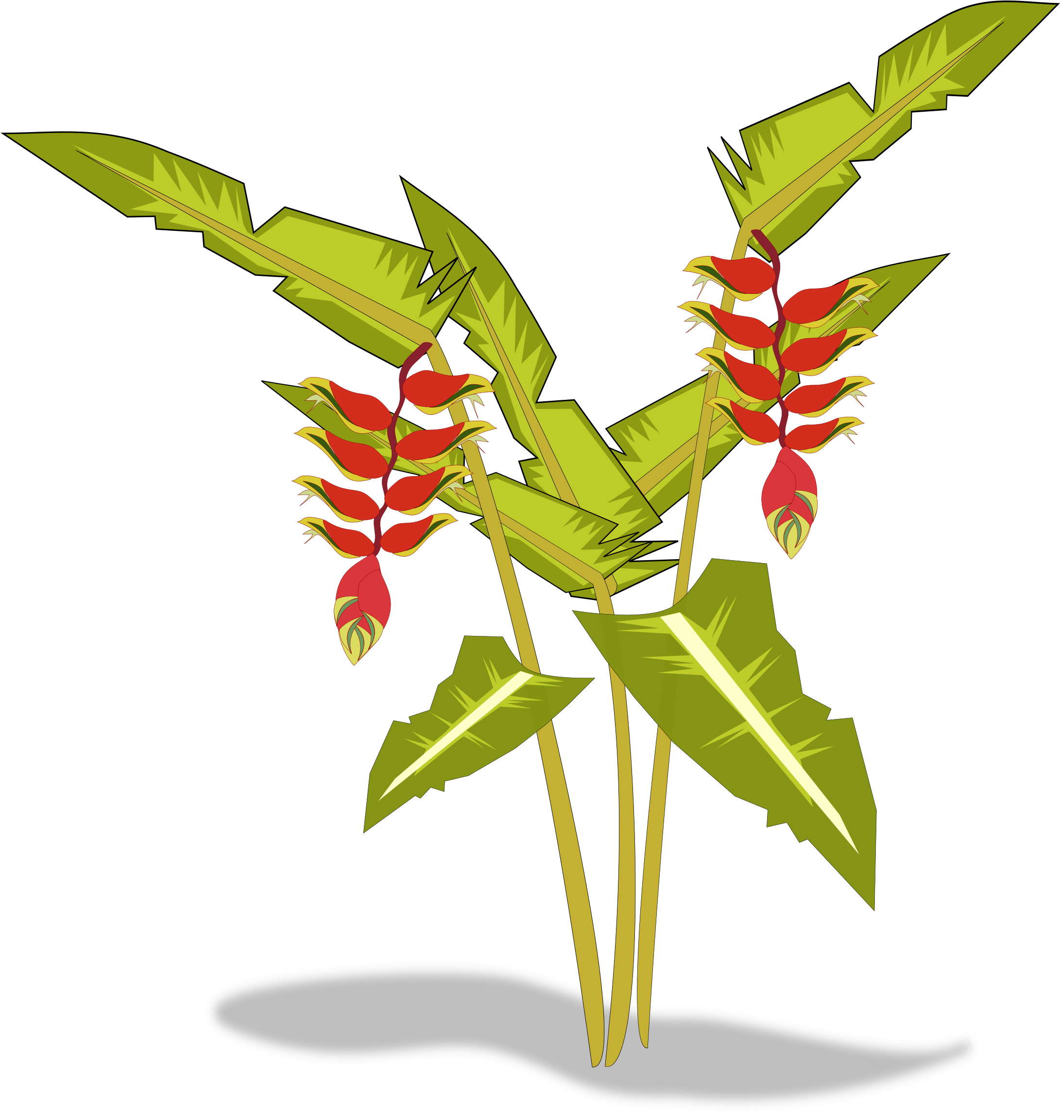 Heliconia Png (2400x2400), Png Download