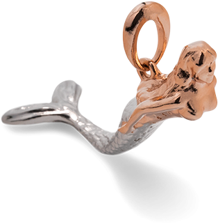 Ossidabile Mermaid Tail Hammerhead Shark Pictures Jpg - Newton (700x800), Png Download