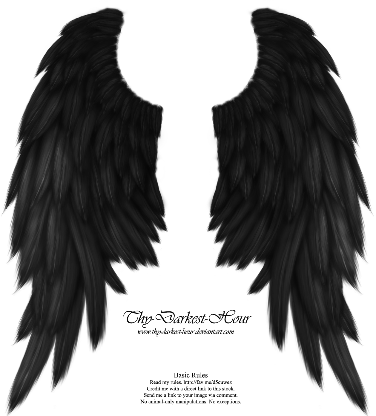 Real Angel Win Angel Wings Png - Black Angel Wings Png (1259x1392), Png Download
