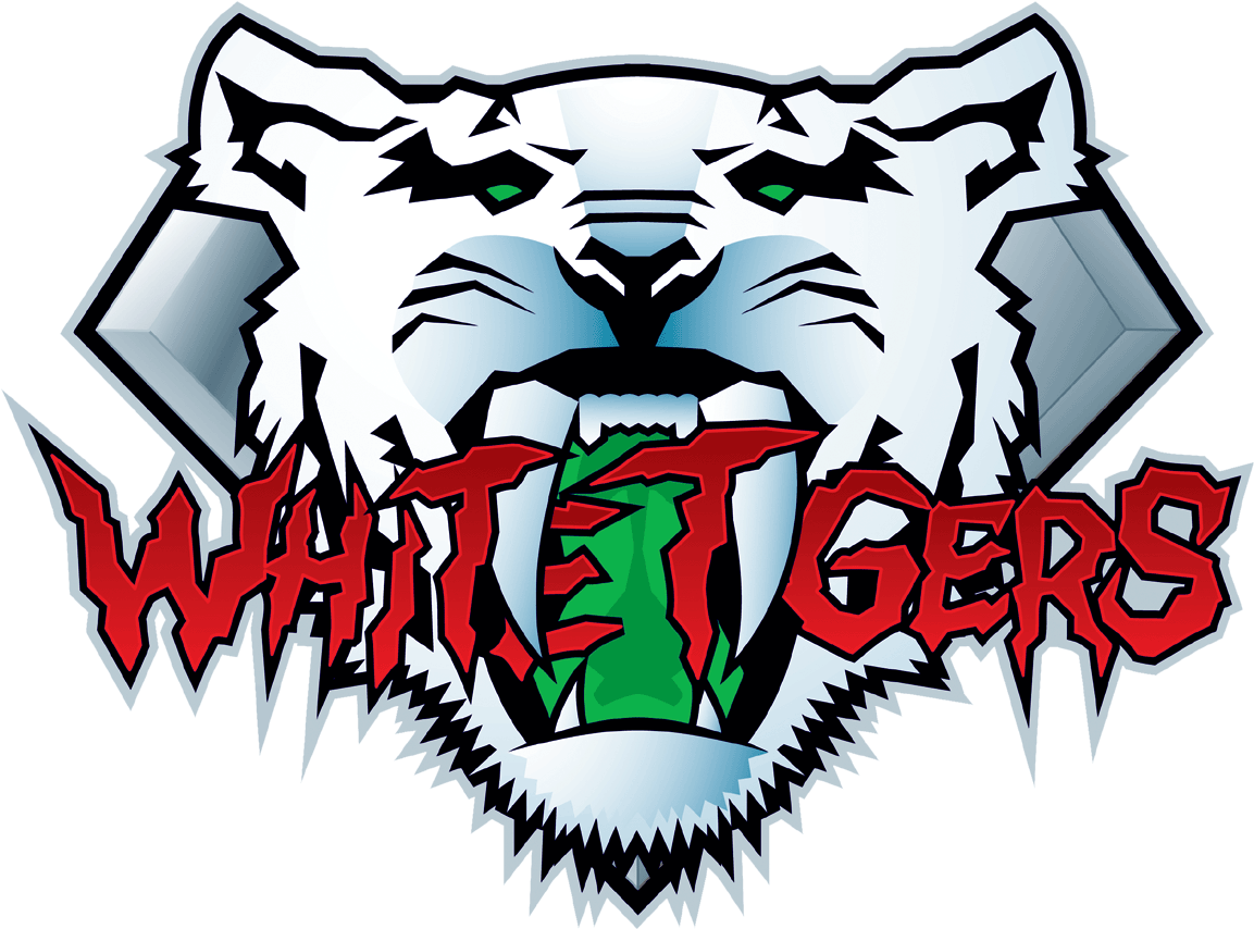 Beyblade White Tiger Team (1200x961), Png Download