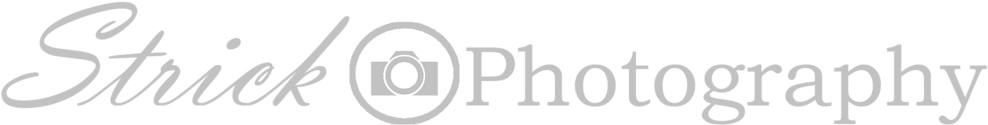 Logo Wide Light (1000x205), Png Download