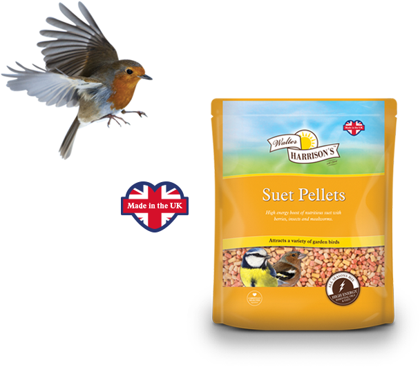 Give Your Garden Birds And Energy Boost - Walter Harrisons Suet Pellets - Bag 12.75 Kg (650x650), Png Download