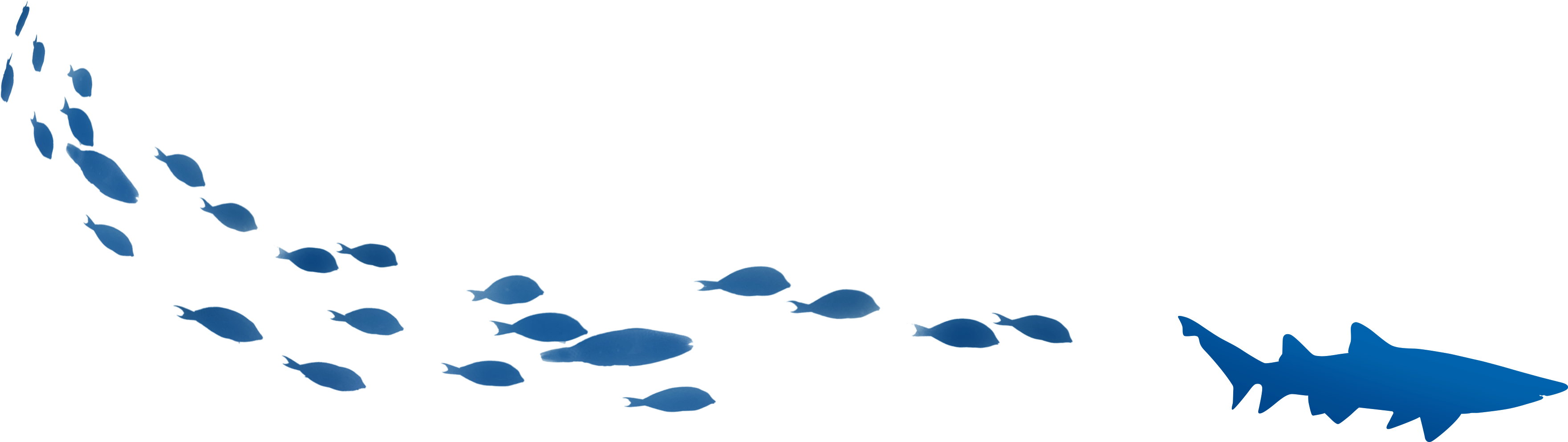Heading Away - Fish (3841x991), Png Download