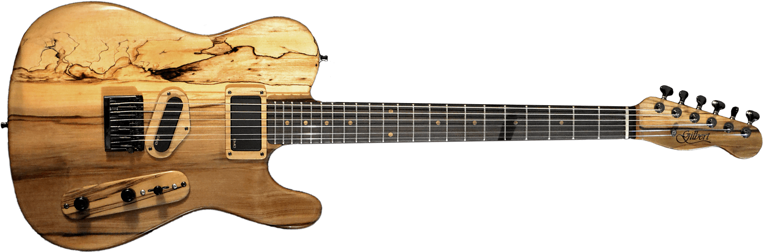 Design Your Own Customised Mark Gilbert Guitar - Prs Se Tremonti Zebrawood (1500x500), Png Download