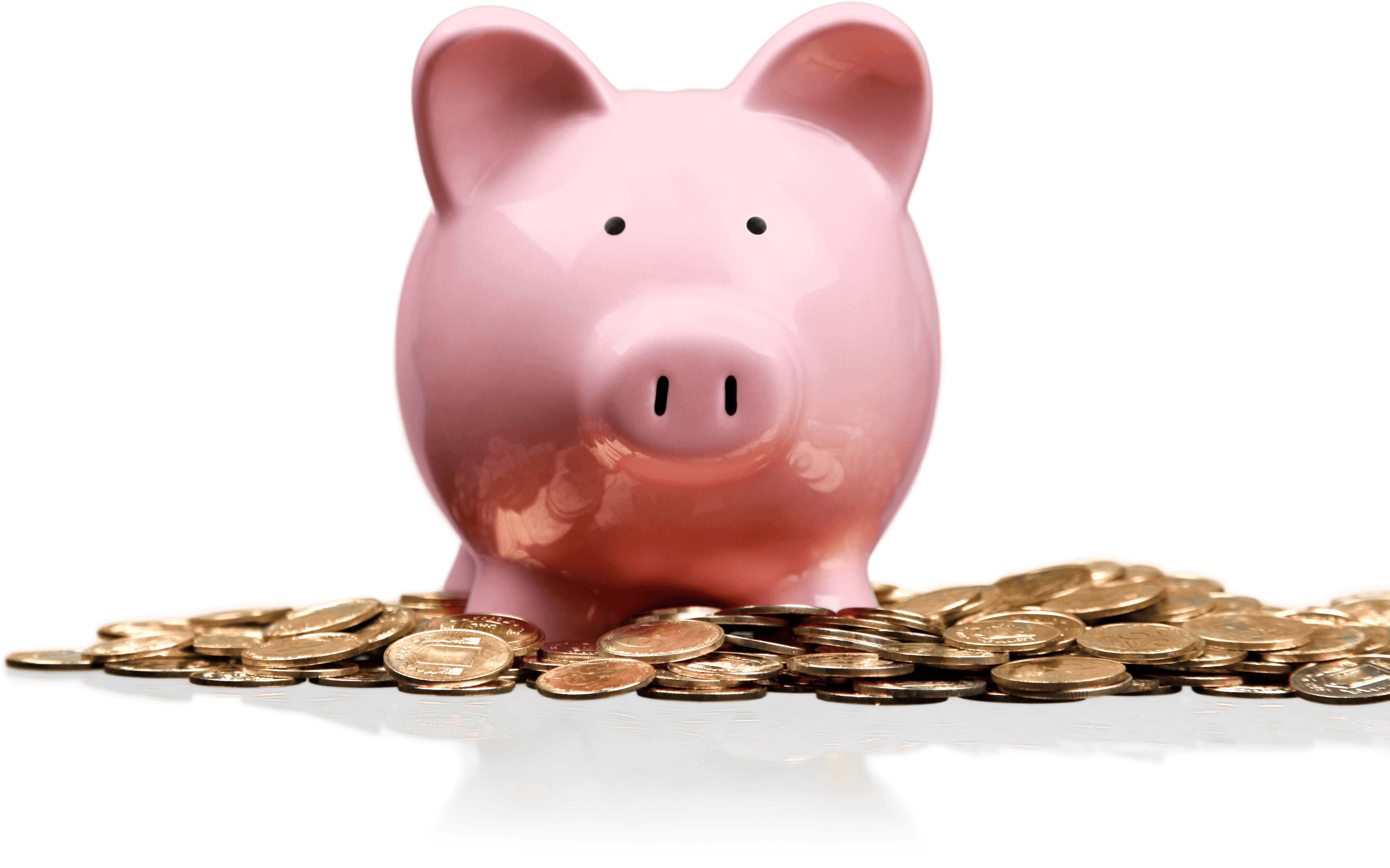 1646256-copy - Ahorro Png (5047x3684), Png Download