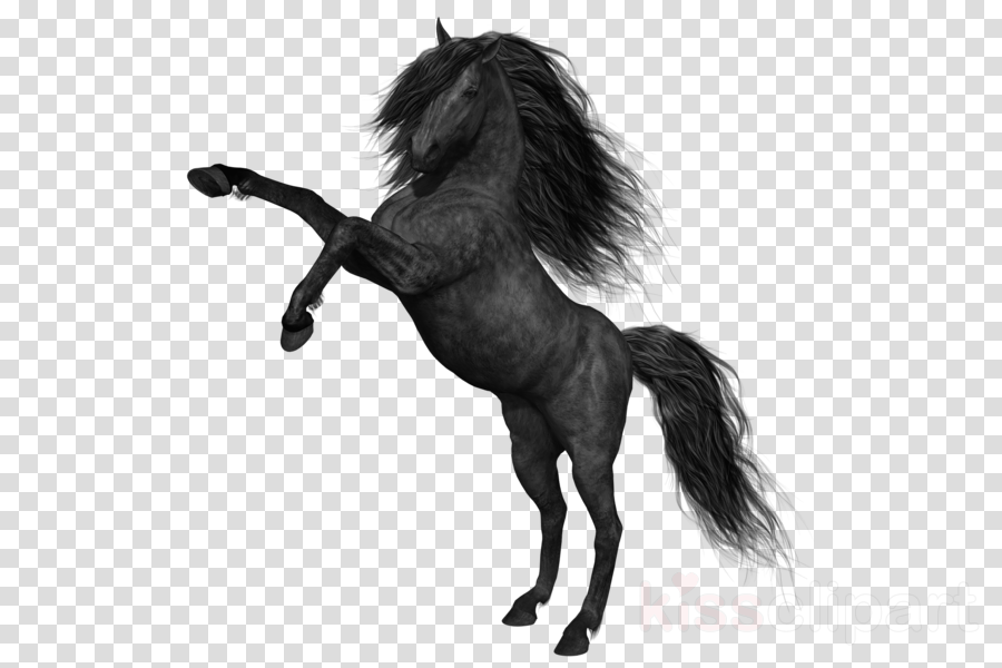 Download Download Youtube Channel Art Horses Clipart Mustang - School Days  Anime PNG Image with No Background 
