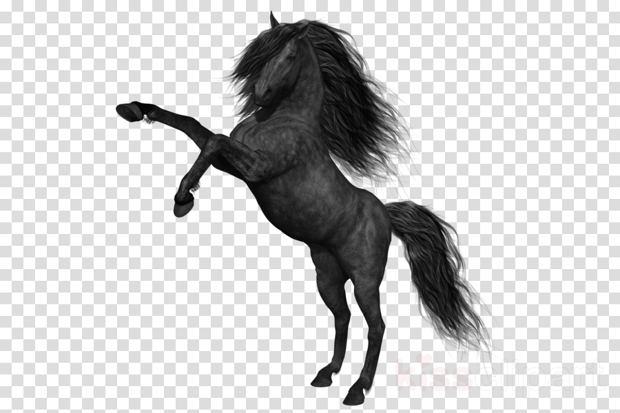 Download Youtube Channel Art Horses Clipart Mustang - School Days Anime (900x600), Png Download