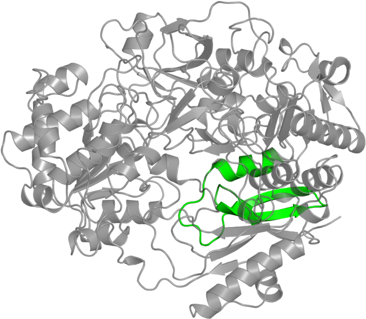 <div Class='caption-body'>1 Copy Of Pfam Domain - Illustration (800x800), Png Download