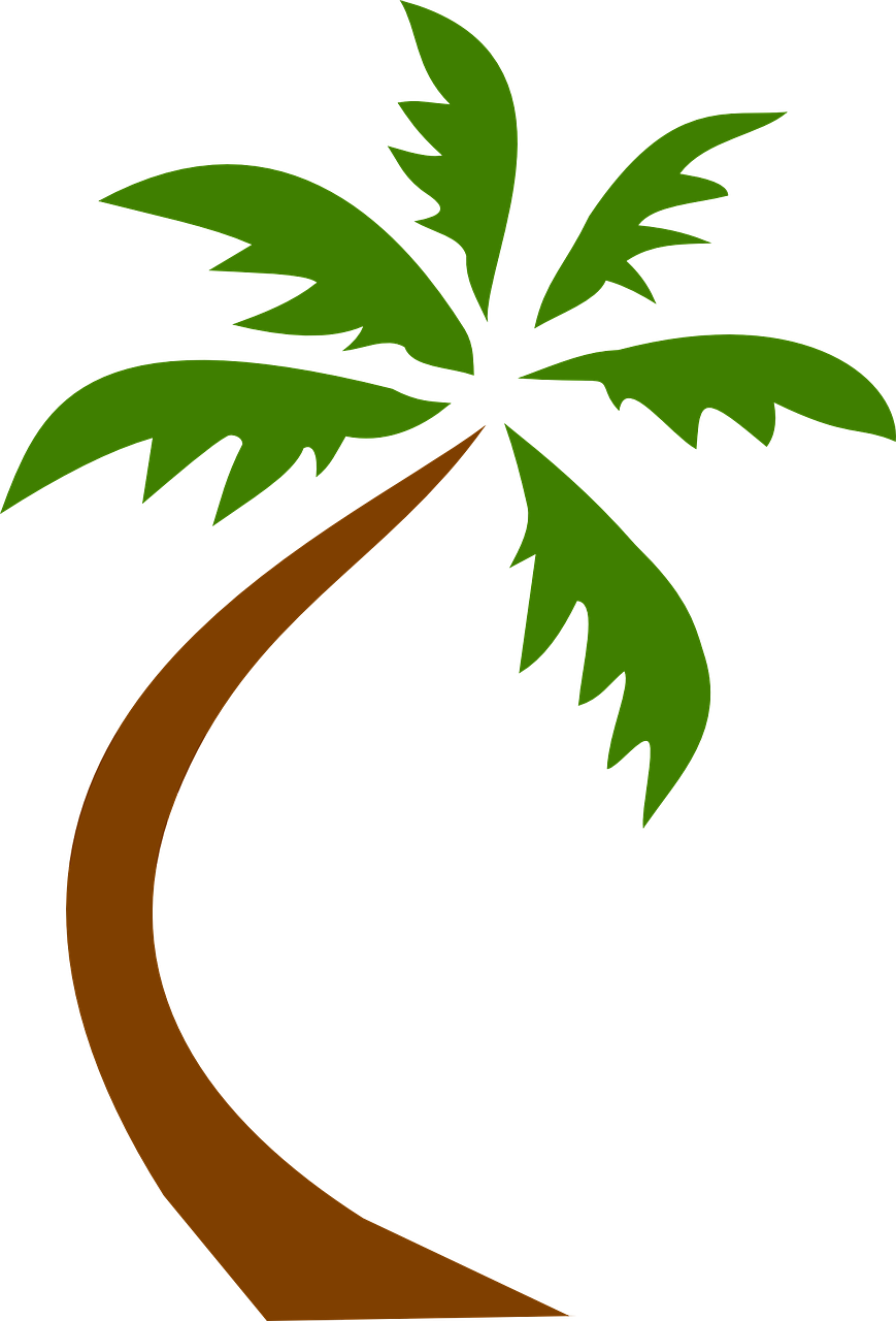 Coconut Tree Tropical Palms Png Image - Palm Tree Clip Art Png (869x1280), Png Download