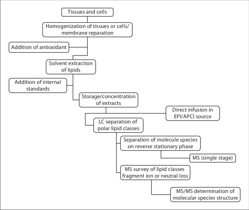 A Flow Diagram Of The Overall Lipidomics Procedure - Diagram (850x717), Png Download