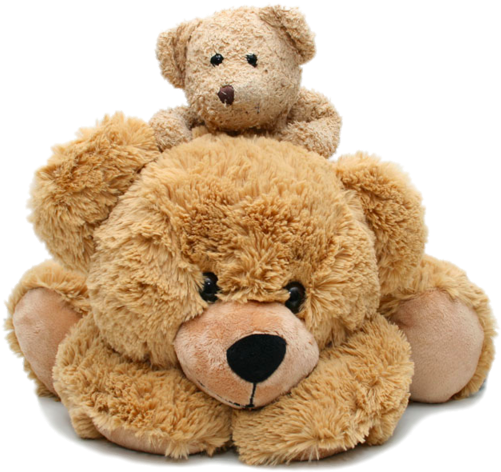 Teddy Bear Png, Download Png Image With Transparent - Mesh Toy Hammock Net Organizer Storage Baby Toys Hanging (800x534), Png Download
