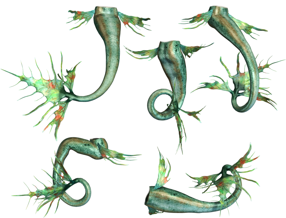 Mermaid Fin, Mermaid Tails, Scrap, Image, Gift Cards, - Illustration (1024x768), Png Download