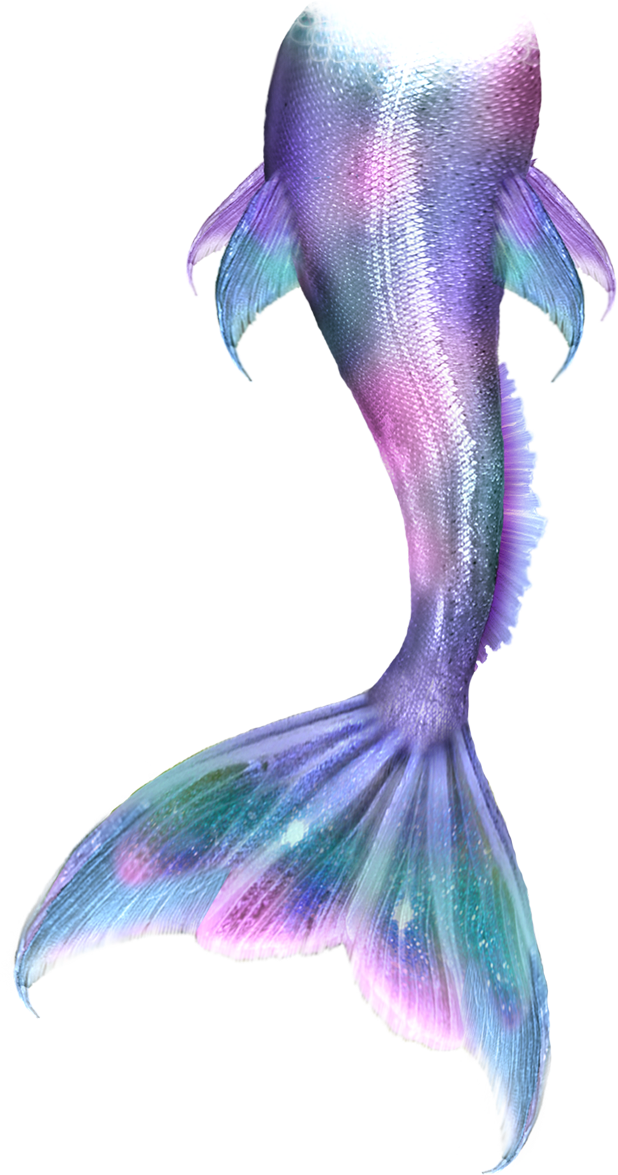 Fins Clipart Mermaid Tail - Cauda De Sereia Desenho (886x1684), Png Download