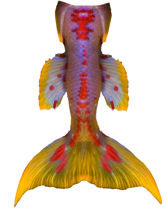 Free To Use Vintage Mermaid Tails - Illustration (894x894), Png Download