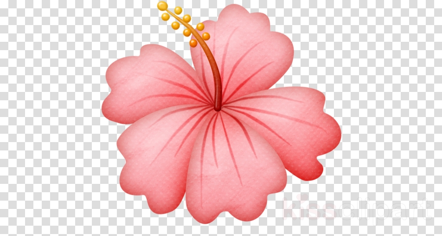 Download Hawaiian Flowers Png Clipart Hawaii Flower Clip Art Clip Art Png Image With No Background Pngkey Com