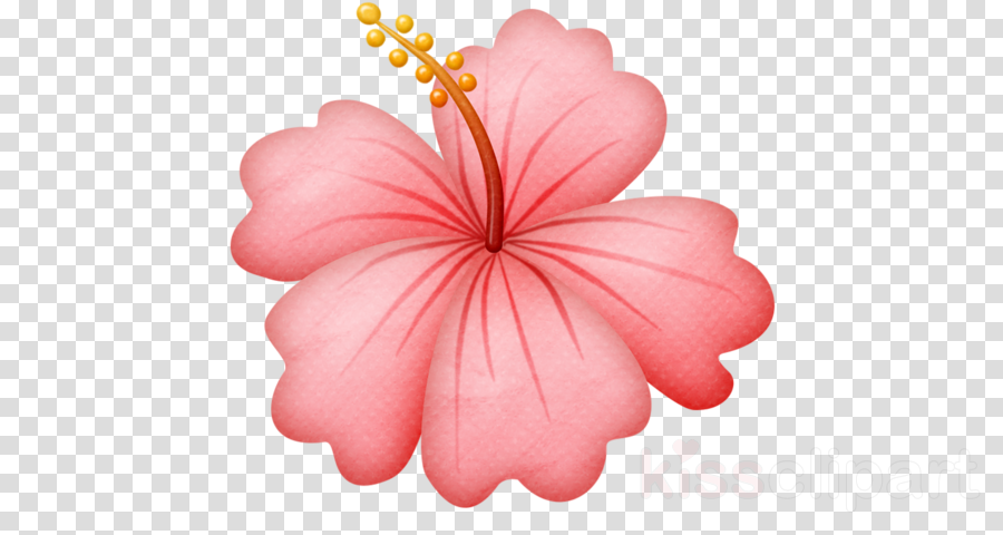 Hawaiian Flowers Png Clipart Hawaii Flower Clip Art - Clip Art - Free