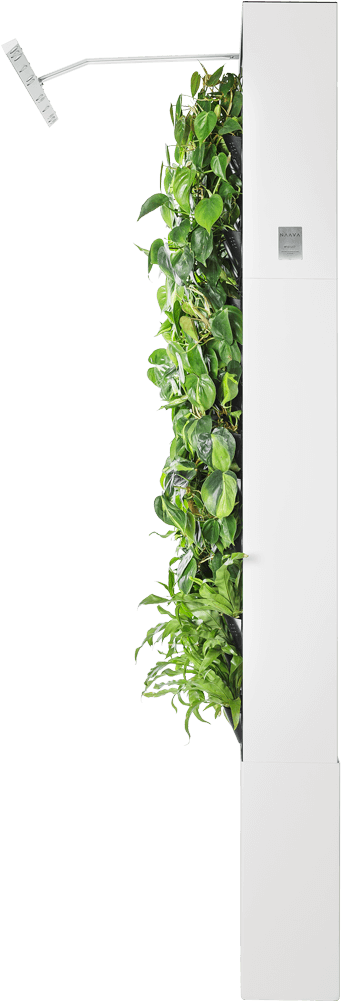 Naava One Slim - Refrigerator (640x1120), Png Download