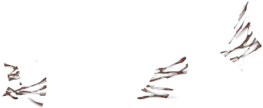 Lioden Scar Png (640x500), Png Download