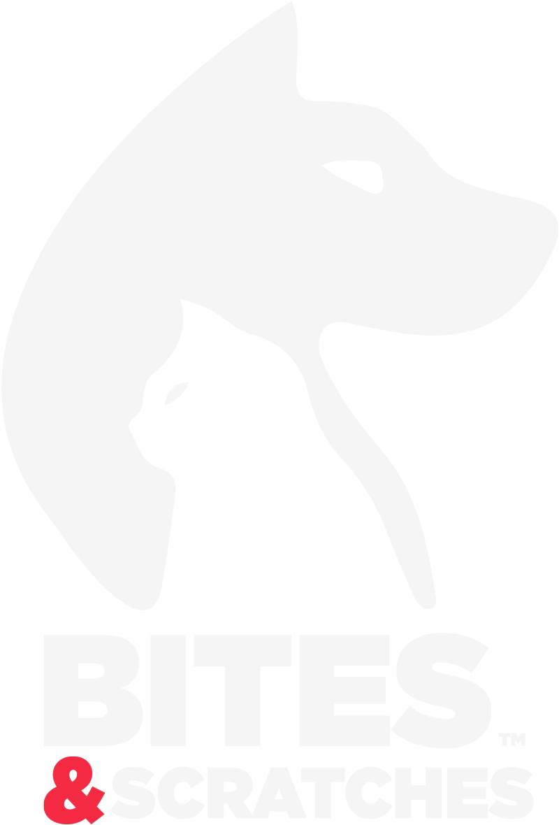 Bites & Scratches - Fahrenheit 451 (957x1195), Png Download