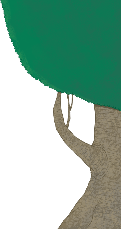 Project Imagination Project Imagination - Imagination (458x868), Png Download