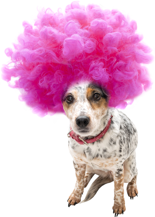 Wigwag-wig - Birthday Card A-maize-ing Goggly Eyes (539x756), Png Download