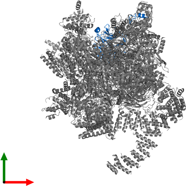 Tree (800x800), Png Download