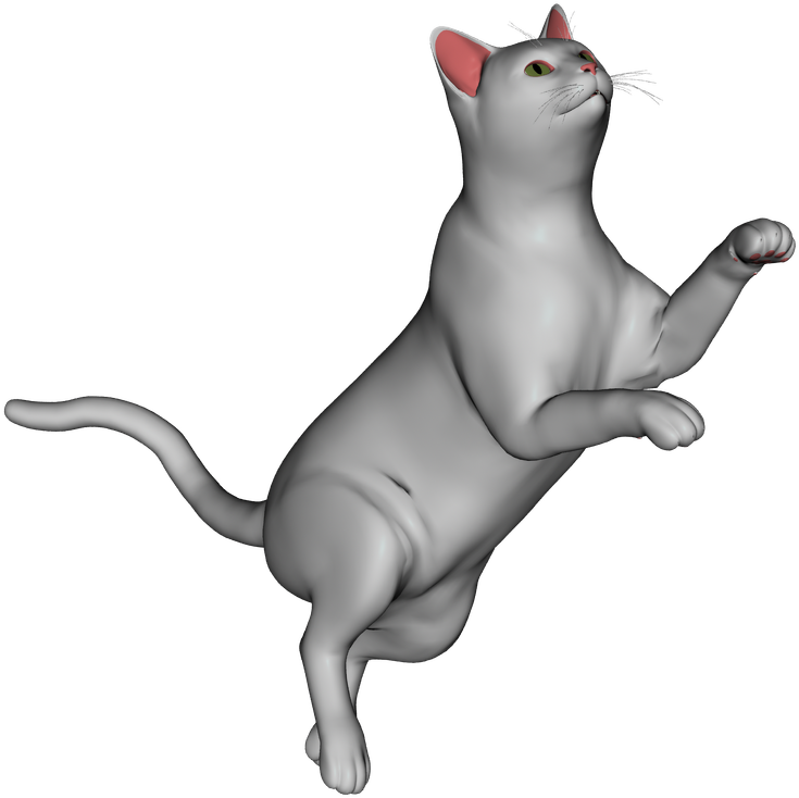 White Cat - Cat Yawns (2800x1200), Png Download