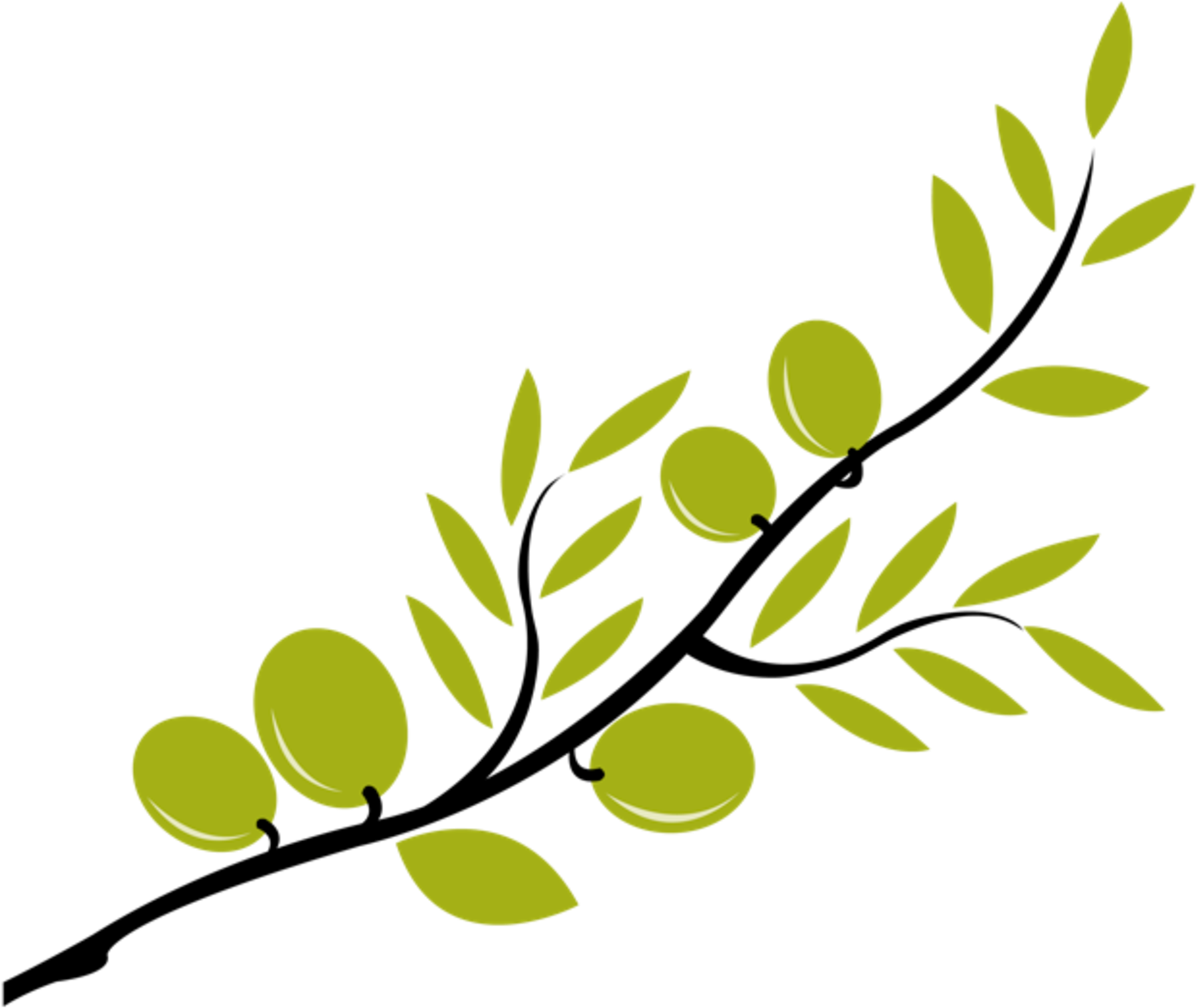 Download Clipart Free Download Cute Files Free Svgs - Olive Tree Branch Clip Art (1849x1586), Png Download
